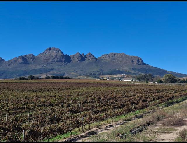 10HA FARM FOR SALE IN STELLENBOSCH FARMS